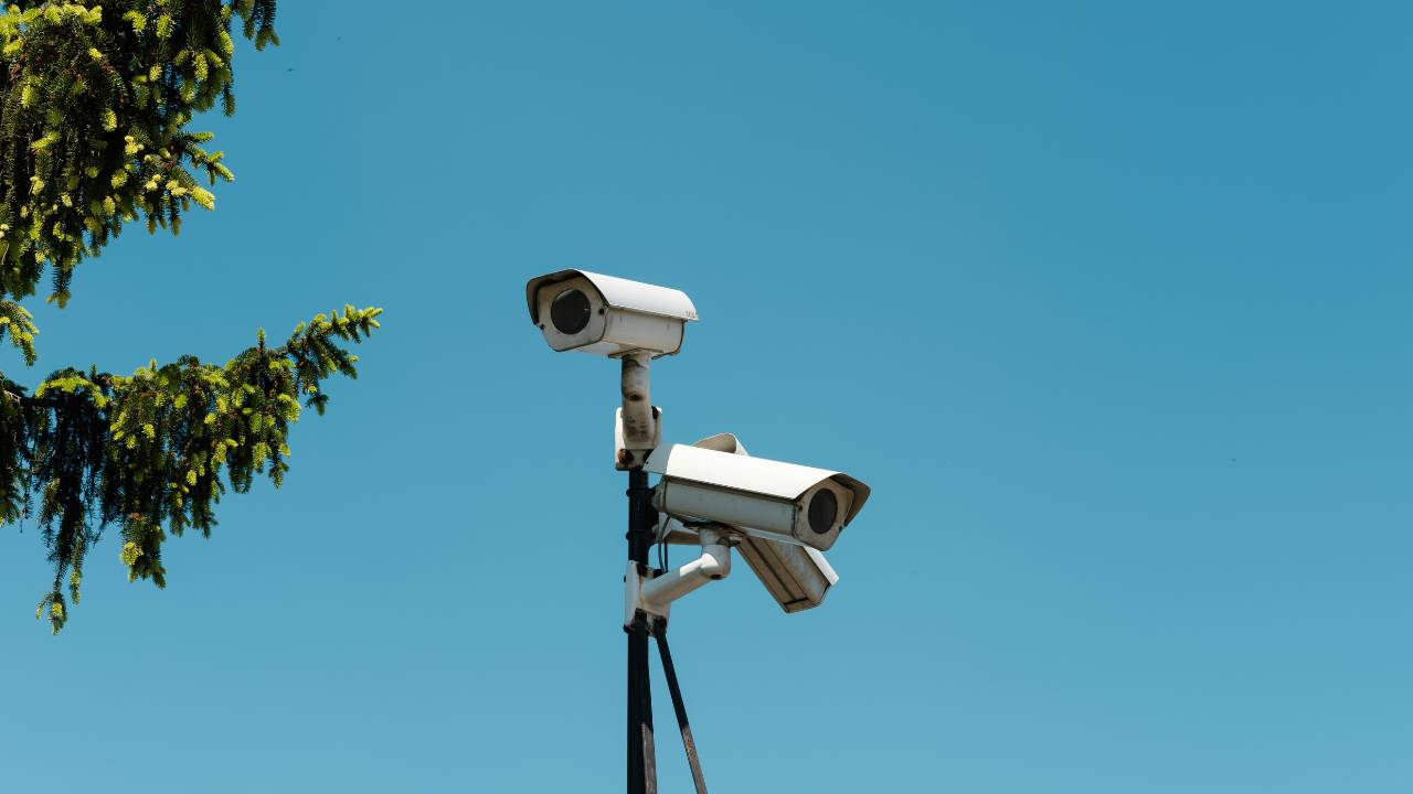 Three white security cameras next to a pinetree
